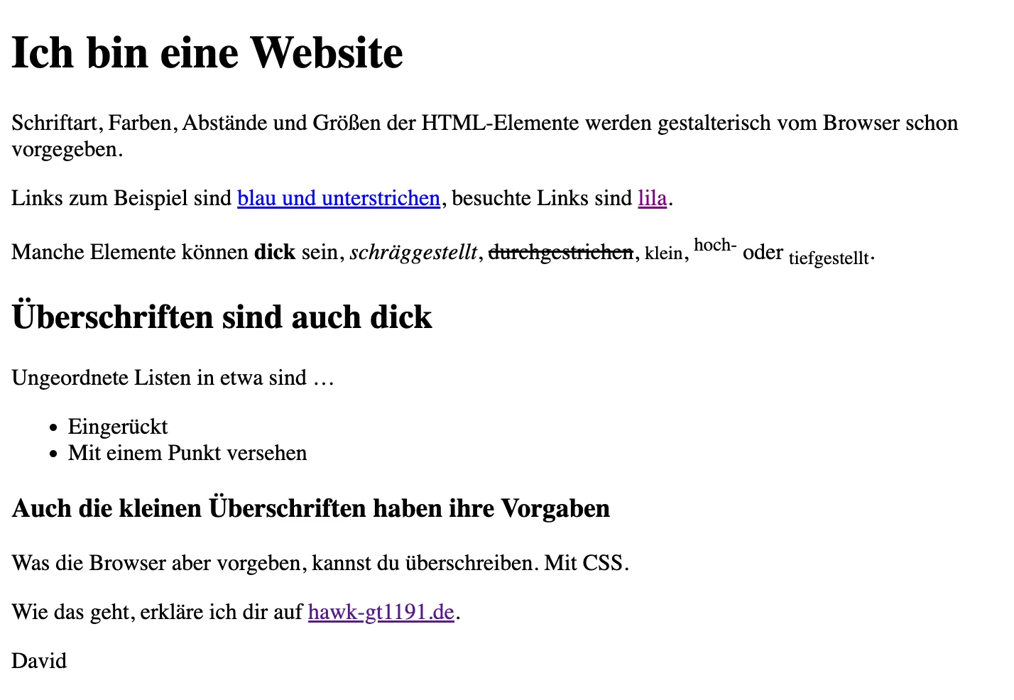 Screenshot einer ungestylten Website.